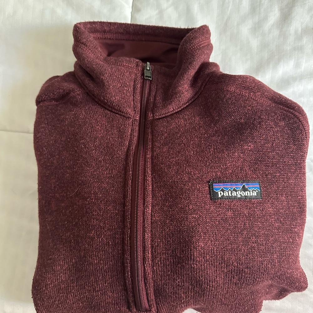 Patagonia Maroon Fleece Pullover